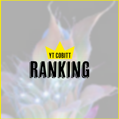瑠奈チャンネルの推定収益 Twitterの反応などをチェック Yt Cobitt Ranking